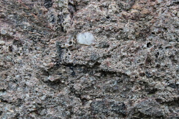 Big Stone Close Up