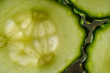 Closeup cucumber slice. Transparent texture of cucumber.