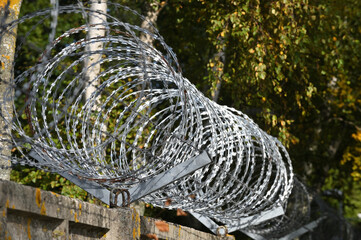 Spiral and coils of barbed wire on fence.