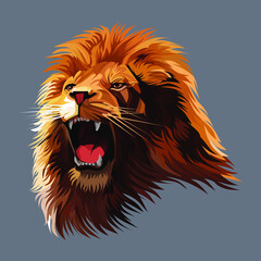 Lion Head vector Illustration