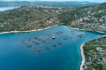 Fish farm in a bay off the coast of the Adriatic Sea. Floating fish farm and fry in lattice trays