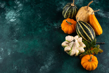 Various decorative pumpkins and dry leaves.