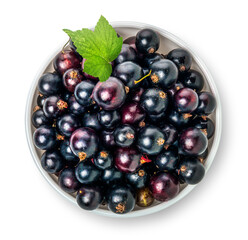 Bowl of black currant
