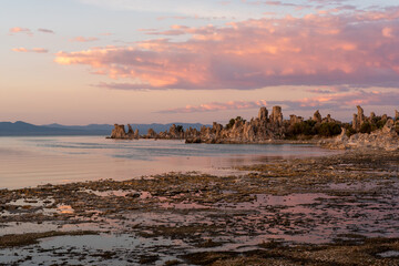 Mono Lake Tufa in the sunset, featuring pink clouds, the contour of the lake and blue copy-space