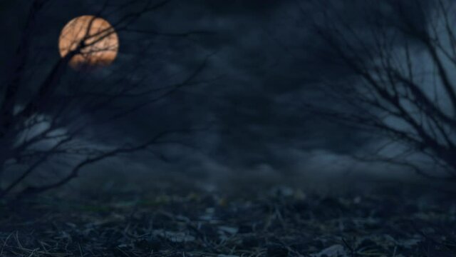 Halloween theme with full moon in dark autumn forest. Halloween horror background.