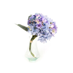 Blue hydrangea flowers in a glass vase isolated on white background