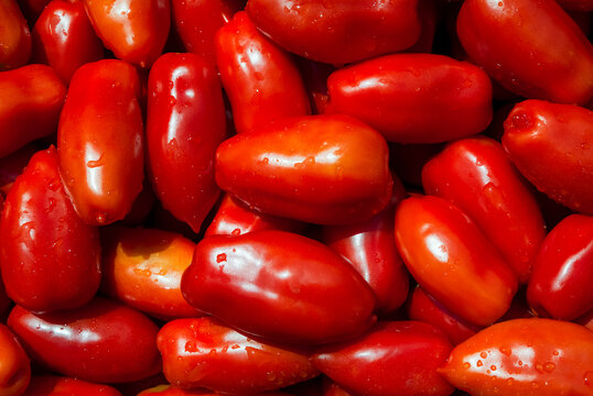 San Marzano tomatoes, red and ripe