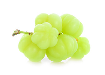 star gooseberry on white background