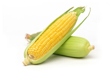Fresh corn isolated on white background.