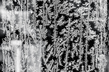 frosty snowy winter patterns on a black background