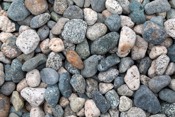 Stones at a pebble beach background. West coast or PNW detail.