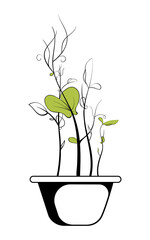 Fresh young sprouts various plants. Microgreen sketch vector illustration. Vegetarian healthy food. Reuse and rot concept.