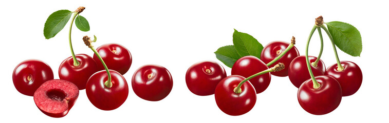 Wild cherry group set isolated on white background.