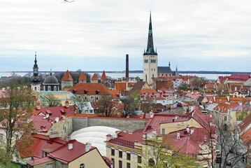 Overhead view of the Old Town with red tile roofs and the spire of St Olaf's Church in Tallinn,...