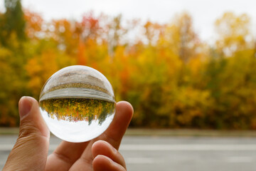 Autumn landscape. A man's hand holds a crystal ball, in which the image of red-yellow-green trees, shimmering with gold, is inverted. Beautiful autumn. Colors of autumn. Gray sky.