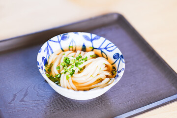 
讃岐うどん　うどん　ざる　【 香川県 の イメージ 】
