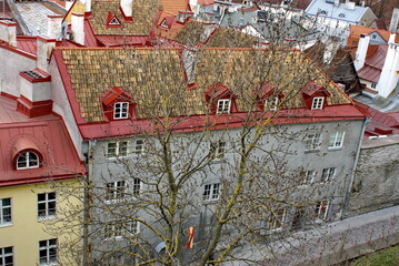 Overhead view of the Old Town with red tile roofs in Tallinn, Estonia