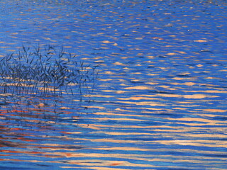 Reeds in the evening light. Rest by the water. Oil painting. The reflection of the sunset in the water