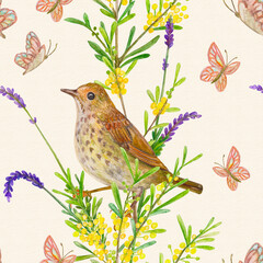 cozy texture with wild little bird, twigs of lavender and mimosas on paper background. watercolor painting
