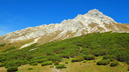 malerischer felsiger Saulakopf im Vorarlberg mit grünen Latschen im Vordergrund unter blauem Himmel