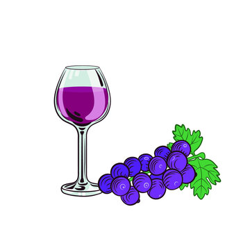 Vector Bunch of Grapes with Wine Glass Isolated on White Background, Winery Illustration Isolated on White Background, Hand Drawn Retro Style.