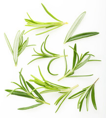 Rosemary twigs top view on a white background