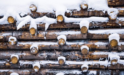 Strengthening of logs, wooden wall under snow in winter