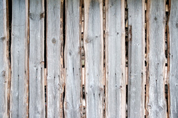 Wooden background from dry boards. Copy space. Wall of an old barn.