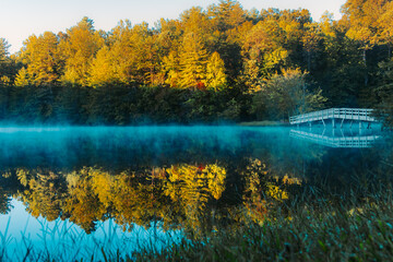 autumn landscape with lake