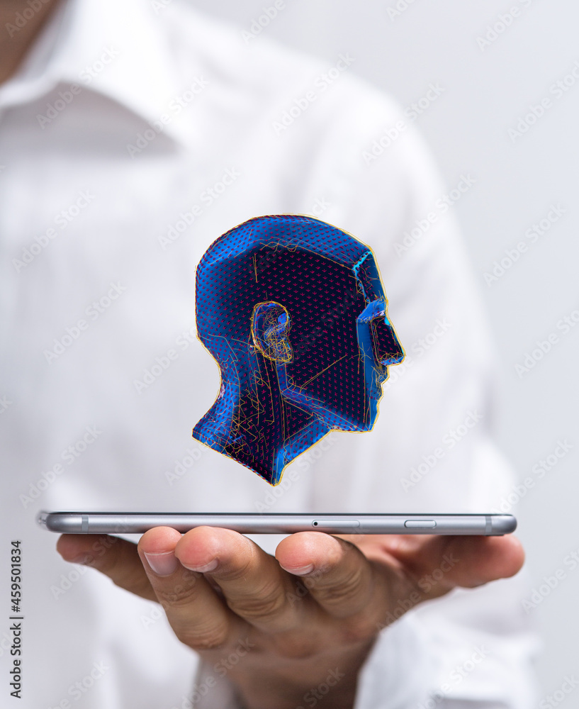 Poster Human head with network plexus structure