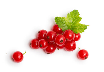 Red currant isolated on white background.