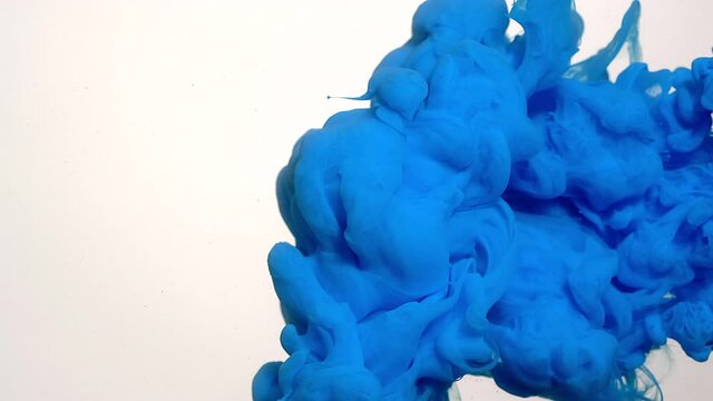 Light blue watercolor ink in water on a white background. Slow motion of colored watercolors in water. Awesome abstract background. Screensaver, relaxing meditative background.