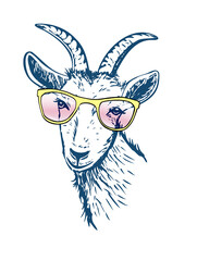 Goat with yellow sunglasses. Hand drawn vector illustration. Funny goat.