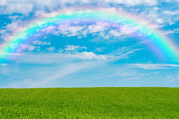 Obraz na płótnie Canvas A green landscape with a rainbow in the sky