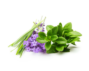 Lavender with thyme herbs isolated on white background