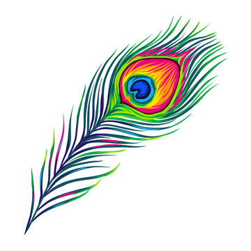 Stylized illustration of peacock feather. Image for design or decoration.