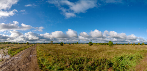 A dirt road after the rain passing on the floor illuminated by the bright morning summer sun with a blue sky scattered with rare clouds