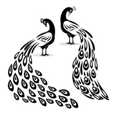 Fototapeta na wymiar Peafowl silhouettes. Black peacock logo elements, peacoccks designs cuttings laser vector animals, monochrome peecoock templates with cute tail isolated on white