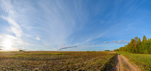 Panorama of a field with a dirt road and a blue sky