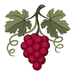 Stylized illustration of grapes. Image for design or decoration.