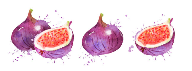 Watercolor illustration set of figs