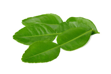 Kaffir lime leaves isolated on white background