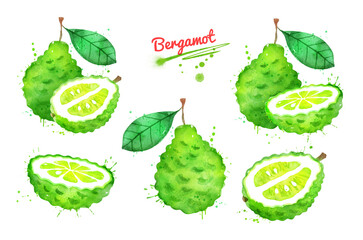 Watercolor illustrations set of bergamot fruit