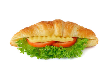 Tasty croissant sandwich on white background