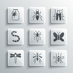 Set Mosquito, Butterfly, Spider, Dragonfly, Worm, in jar and Beetle bug icon. Vector