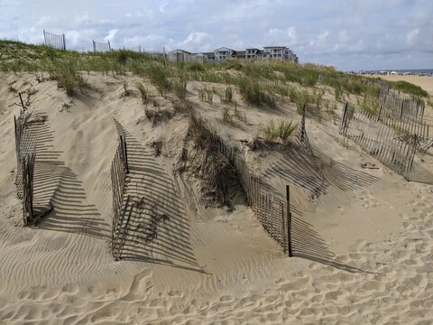 Coastal Sand Dune with fencing