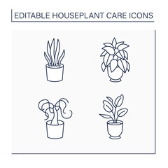 Houseplants care line icons set.Sansevieria trifasciata, dieffenbachia, beaucarnea recurvata, ficus elastica. Gardening concept.Isolated vector illustration.Editable stroke