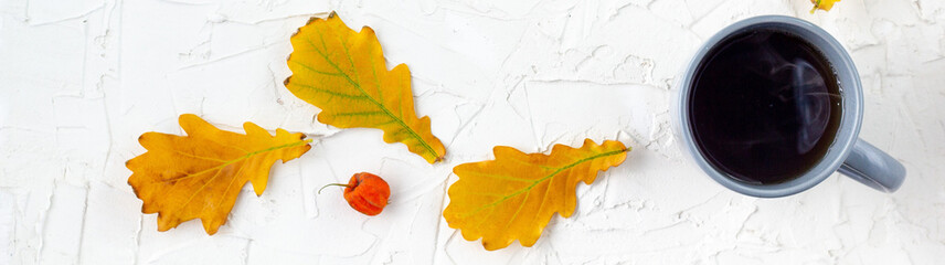 banner of Grey cup of coffee on a white background with yellow autumn oak leaves.