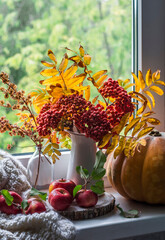 Autumn still life on the window - a bouquet of mountain ash, pumpkin, apples and a knitted blanket....