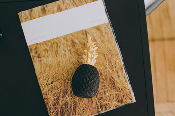 A small figurine of black pineapple lies on the table
